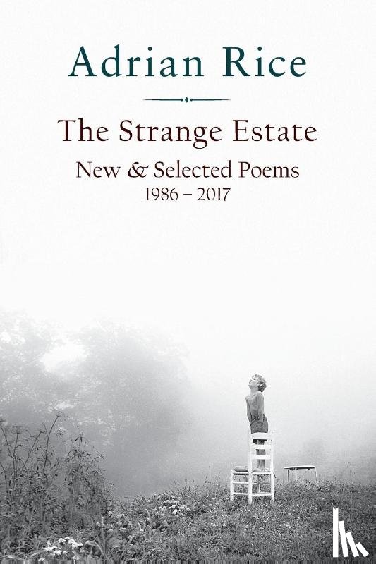 Rice, Adrian - The Strange Estate
