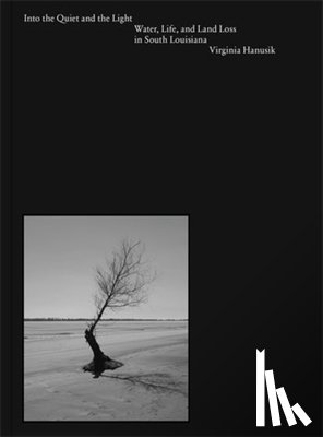Hanusik, Virginia - Into the Quiet and the Light