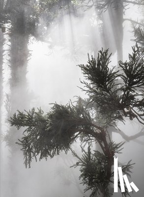 Brown, Ben Thorp - Ben Thorp Brown: Cura's Garden