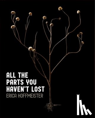 Hoffmeister, Erica - All the Parts You Haven't Lost