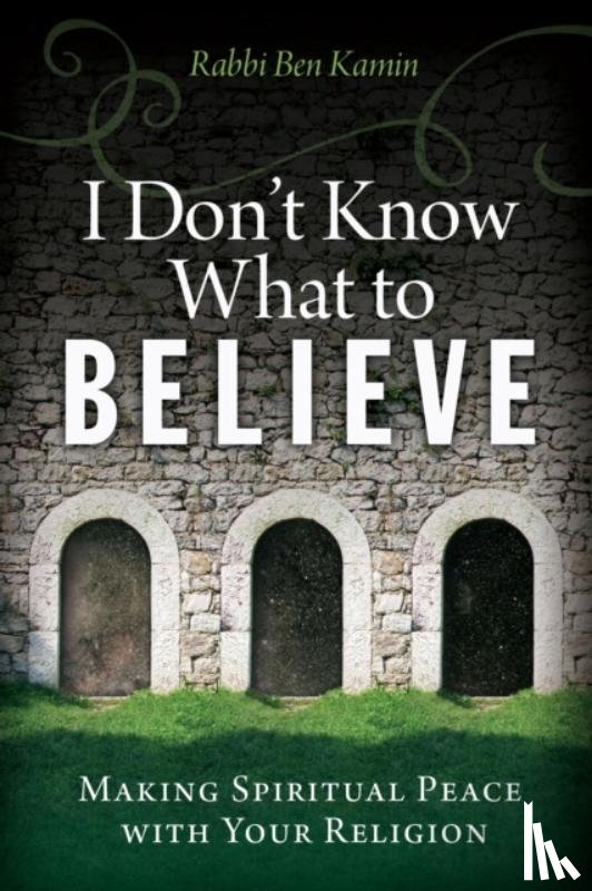 Kamin, Rabbi Ben (Rabbi Ben Kamin) - I Don't Know What to Believe