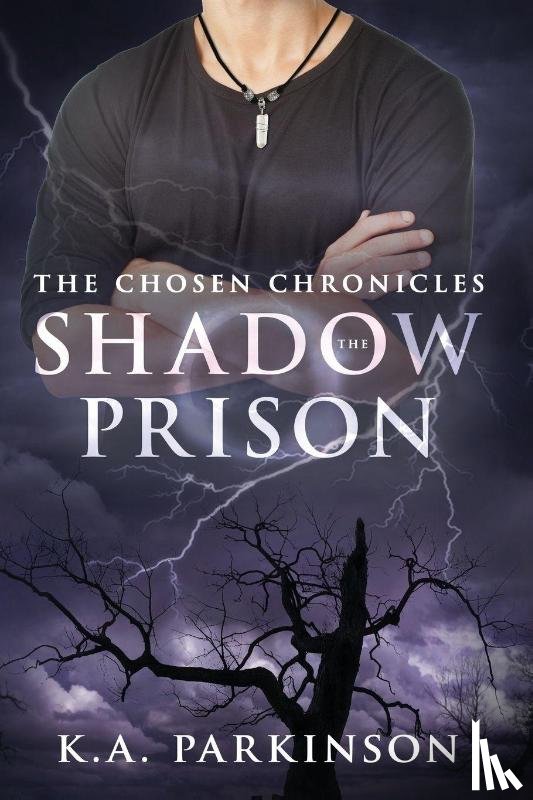 Parkinson, K. A. - The Shadow Prison