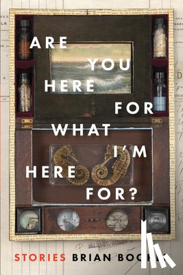 Booker, Brian - Are You Here for What I'm Here For?