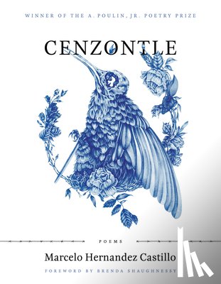 Castillo, Marcelo Hernandez - Cenzontle