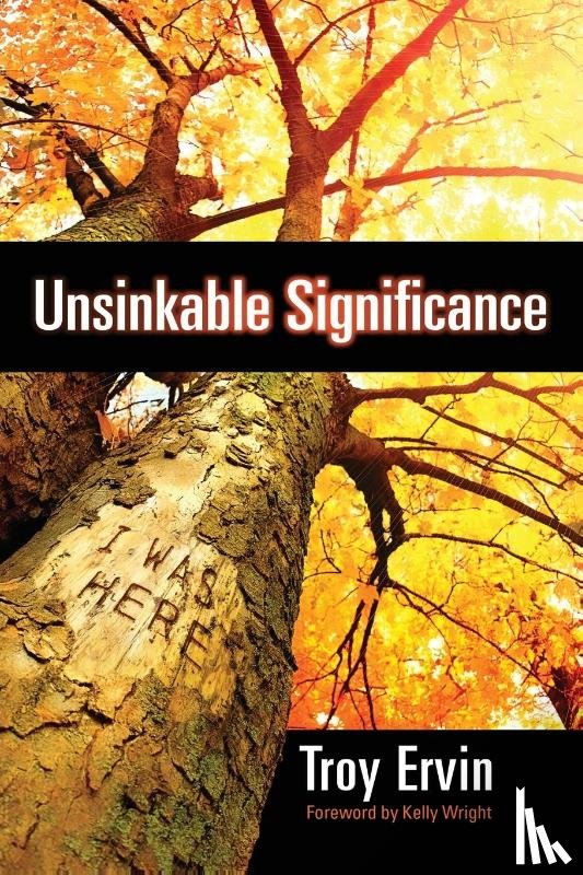 Ervin, Troy - Unsinkable Significance