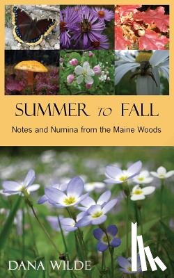 Wilde, Dana - Summer to Fall