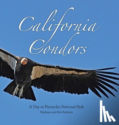 Baldwin, Shirlaine, Baldwin, Bob - California Condors