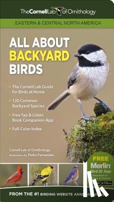 Cornell Lab of Ornithology - All about Backyard Birds- Eastern & Central North America