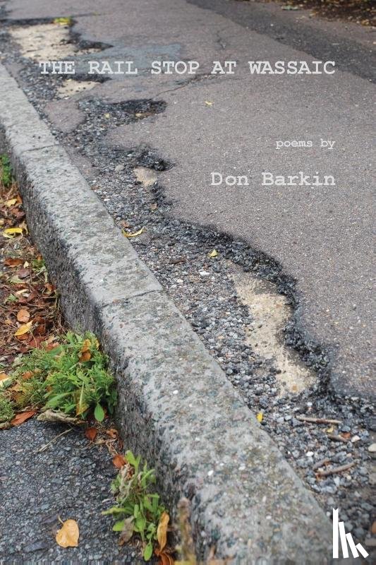 Barkin, Don - The Rail Stop at Wassaic