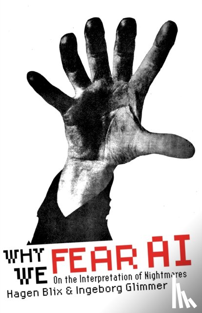 Blix, Hagen, Glimmer, Ingeborg - Why We Fear AI