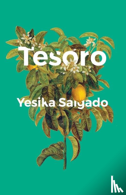 Salgado, Yesika - Tesoro