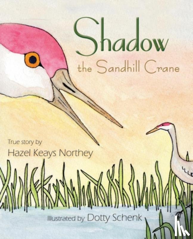 Northey, Hazel Keays - Shadow the Sandhill Crane