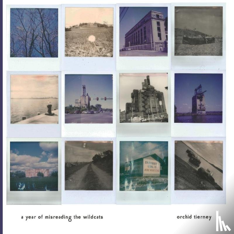 Tierney, Orchid - A Year of Misreading the Wildcats