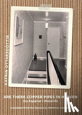 Ottarsdottir, Katrin - Are there copper pipes in heaven / ERU KOPARROR I HIMMIRIKI