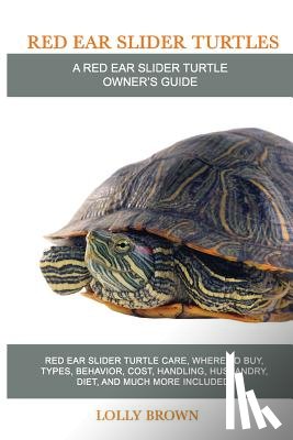 Brown, Lolly - Red Ear Slider Turtles: Red Ear Slider Turtle care, where to buy, types, behavior, cost, handling, husbandry, diet, and much more included! A