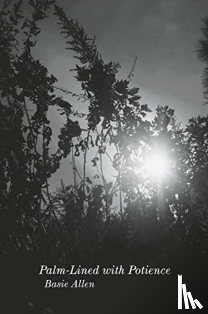 Allen, Basie - Palm-Lined with Potience