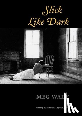 Wade, Meg - Slick Like Dark