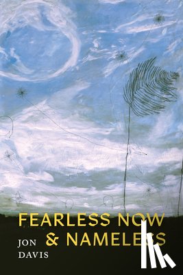 Davis, Jon - Fearless Now & Nameless
