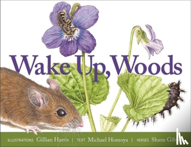 Gibson, Shane, Harris, Gillian - Wake Up, Woods