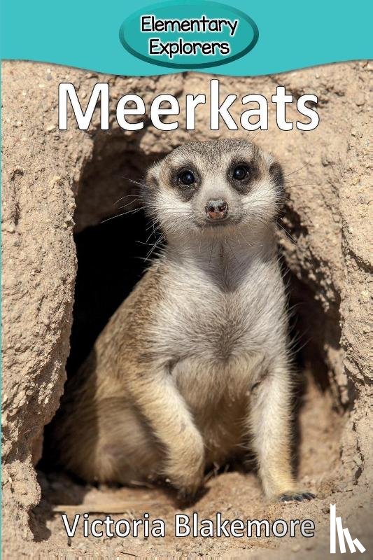 Blakemore, Victoria - Meerkats