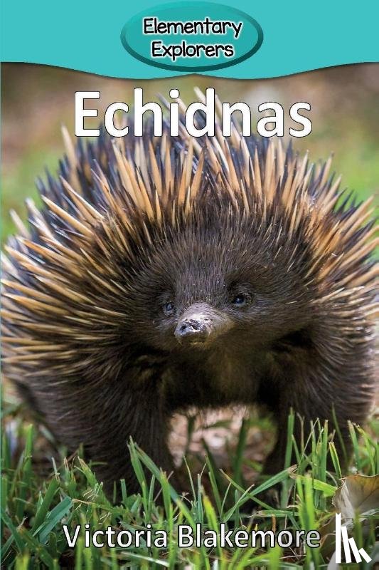 Blakemore, Victoria - Echidnas