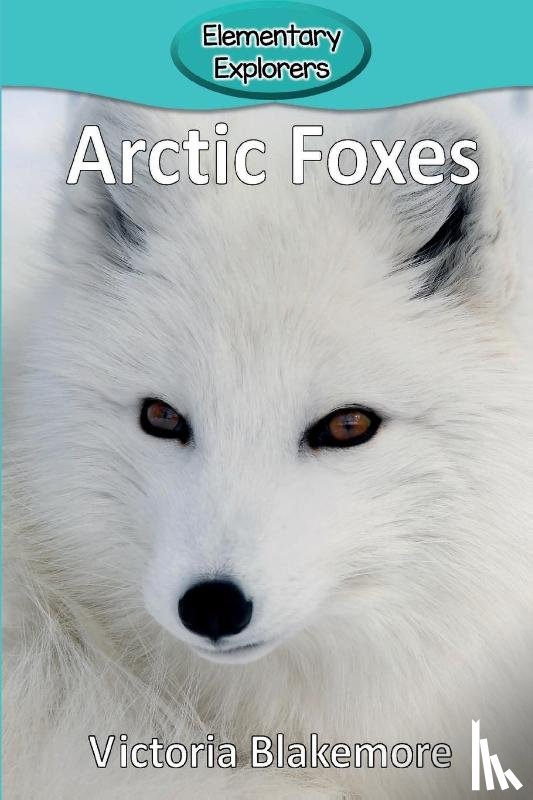 Blakemore, Victoria - Arctic Foxes