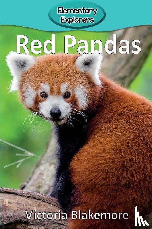 Blakemore, Victoria - Red Pandas