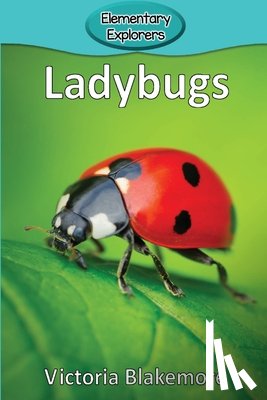 Blakemore, Victoria - Ladybugs