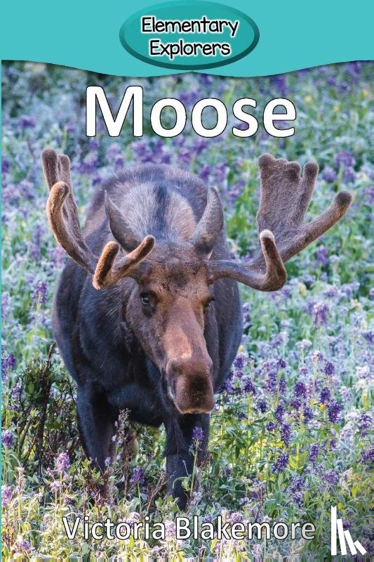 Blakemore, Victoria - Moose