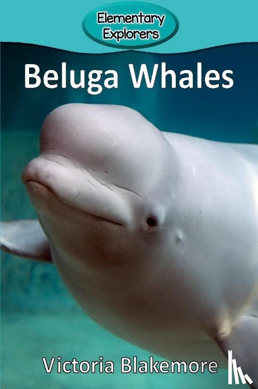 Blakemore, Victoria - Beluga Whales