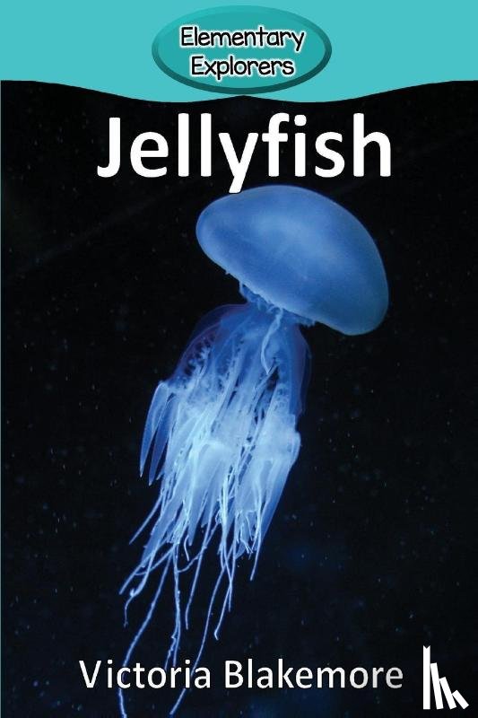 Blakemore, Victoria - Jellyfish