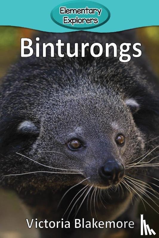 Blakemore, Victoria - Binturongs