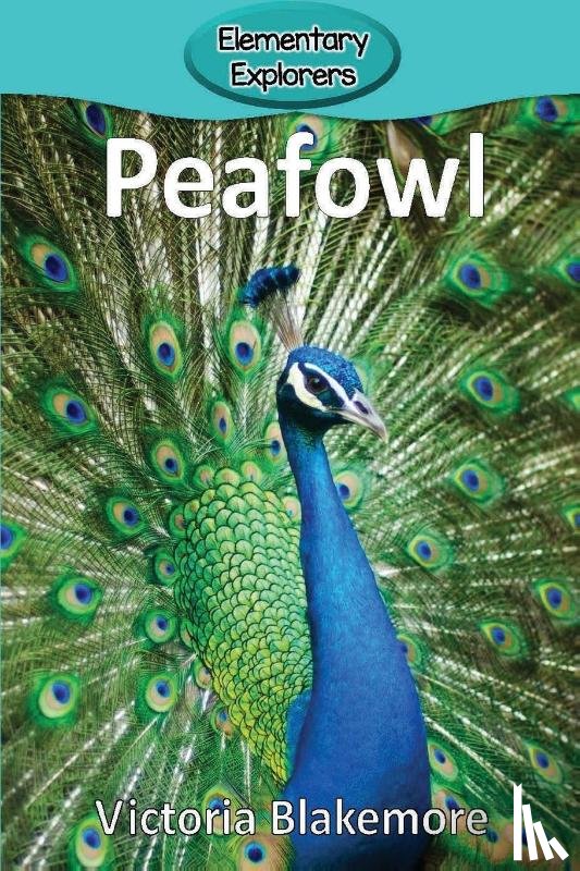 Blakemore, Victoria - Peafowl