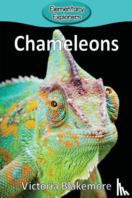 Blakemore, Victoria - Chameleons