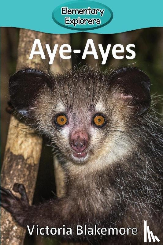 Blakemore, Victoria - Aye-Ayes