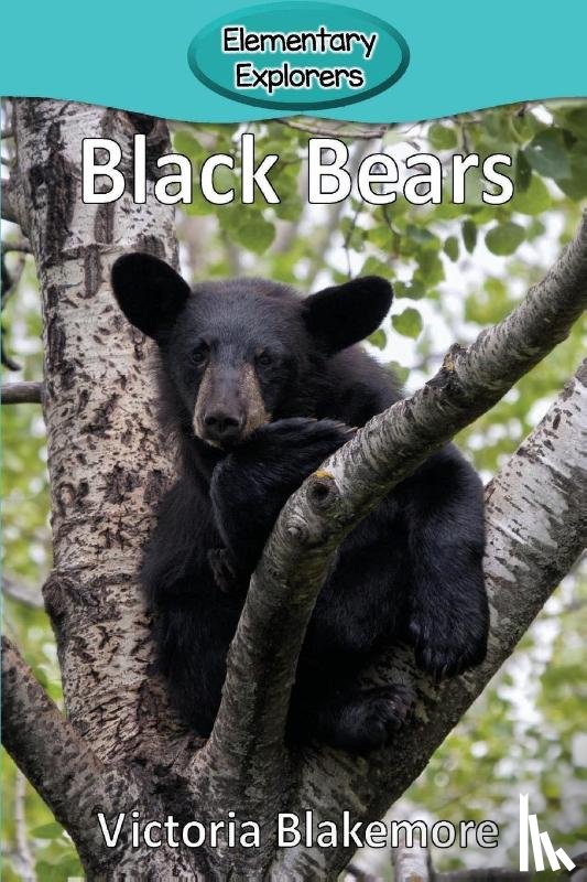 Blakemore, Victoria - Black Bears