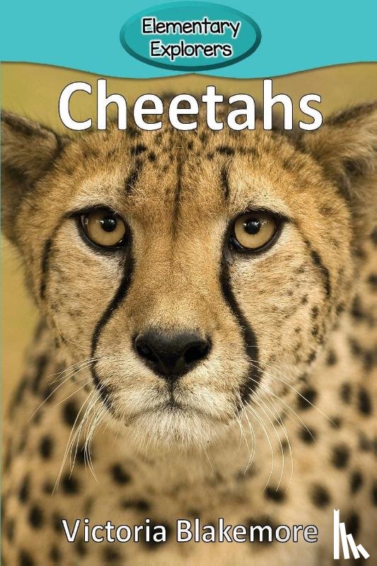 Blakemore, Victoria - Cheetahs