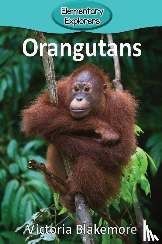 Blakemore, Victoria - Orangutans