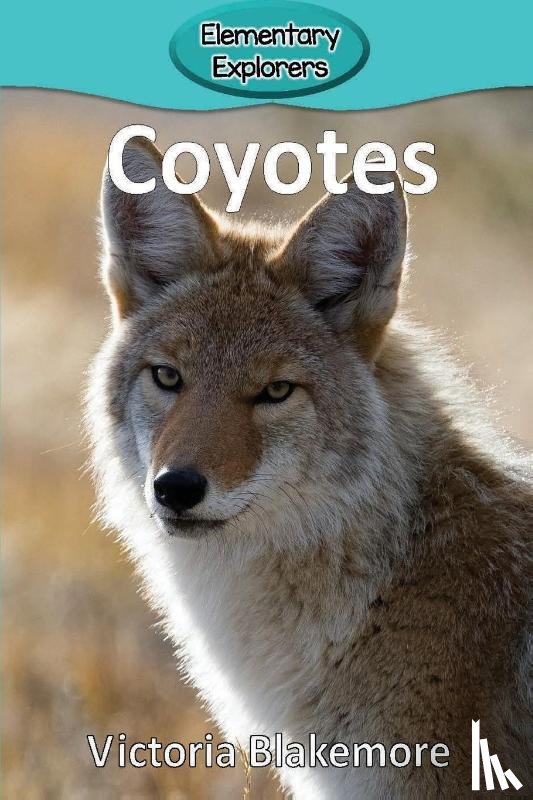 Blakemore, Victoria - Coyotes