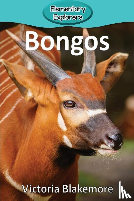 Blakemore, Victoria - Bongos
