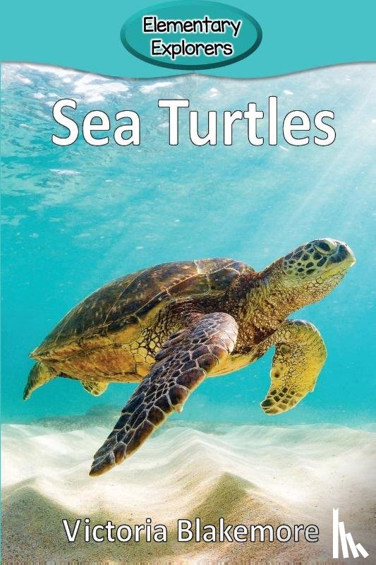 Blakemore, Victoria - Sea Turtles