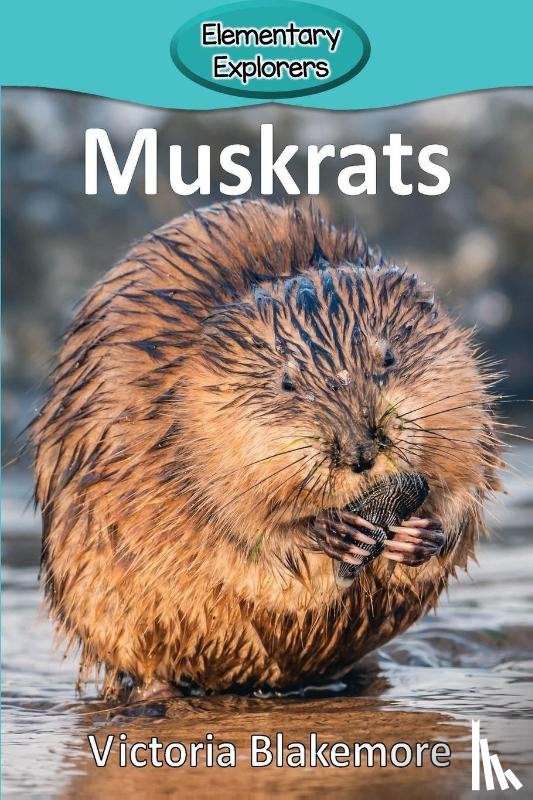 Blakemore, Victoria - Muskrats