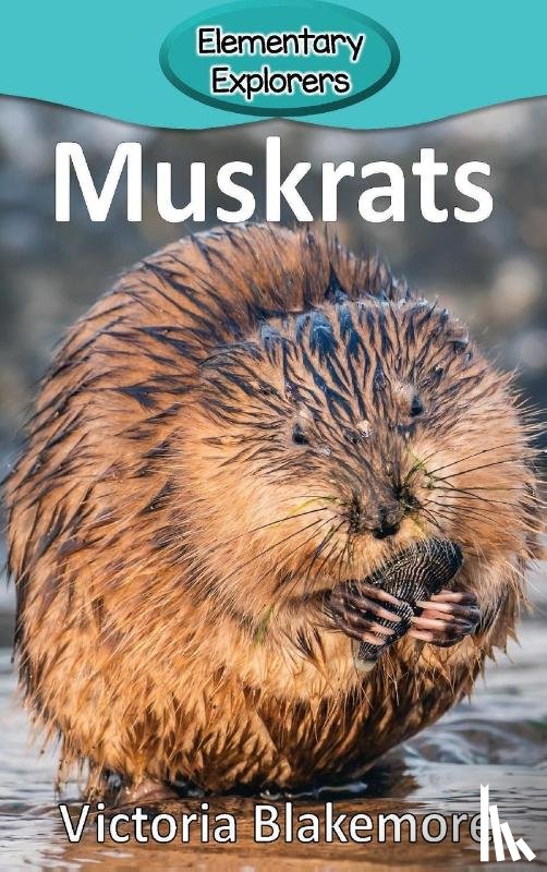 Blakemore, Victoria - Muskrats