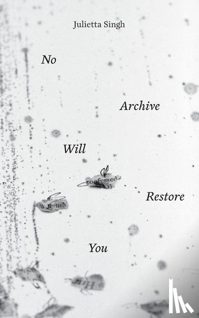 Singh, Julietta - NO ARCHIVE WILL RESTORE YOU