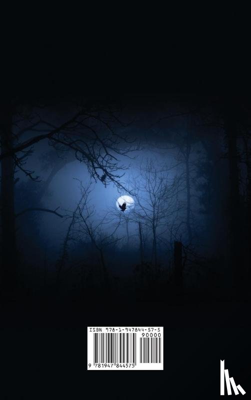 Poe, Edgar Allan - The Raven