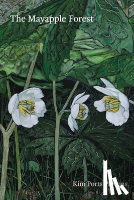 Parsons, Kim Ports - The Mayapple Forest