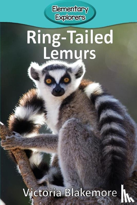 Blakemore, Victoria - Ring-Tailed Lemurs
