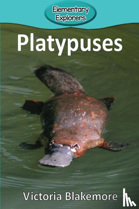 Blakemore, Victoria - Platypuses