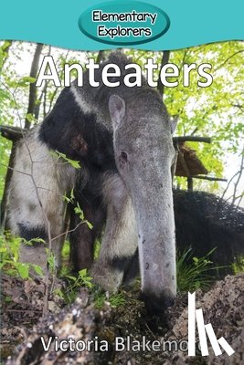 Blakemore, Victoria - Anteaters
