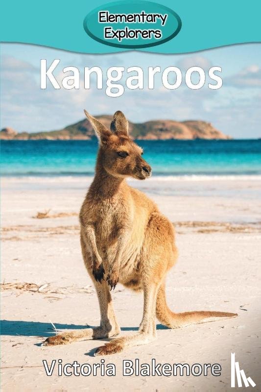 Blakemore, Victoria - Kangaroos